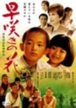 早咲きの花 　DVD　浅丘ルリ子 笠菜月 北条隆博 Amazon.co.jp: 早咲きの花 [DVD] : 浅丘ルリ子, 笠菜月, 北条