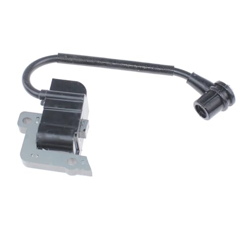 Bobine d'allumage pour résoudre les problèmes de démarrage SRM-2450 - 3