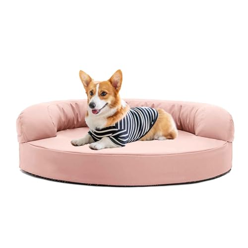 JUNENTER hpxbh p\t@xbh Lpxbh O\Ő􂦂Jo[Ɗ~ߒt ^Lƌp CG[ S