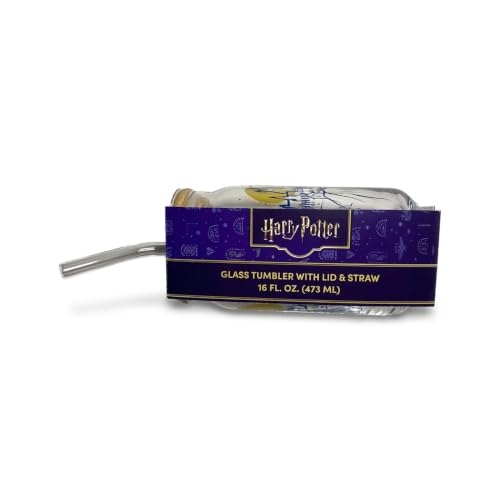 Image of Silver Buffalo Harry Potter Hogwarts Castle Glass Tumbler, 16oz