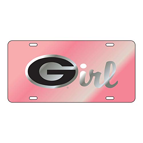 The University of Georgia Black and Silver 