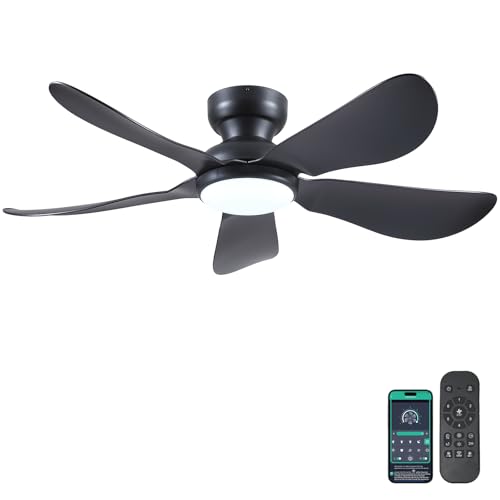 Kviflon 46 In Ceiling Fans with Lights Remote/APP,5 Reversible Blades Black