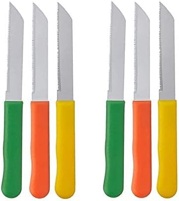 Carving Knives for Kitchen, Knife for Chopping Vegetables, Fruit Knife - Set of 6 (Multicolor)