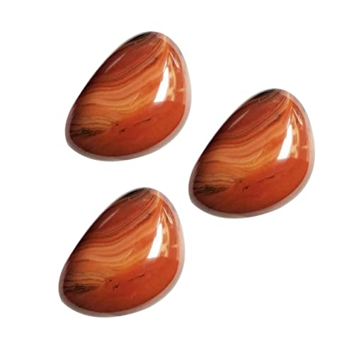 Lurrose 2 VRT[hjNX K^̐ sKȊ ґz^uNX^ sK ]ꂽꂽ ̐ T[hIjNX  sKȕ Â߂̏ ꂽ