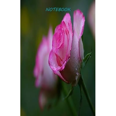 Notebook 5.5x8.5 Inch 100 Pages