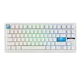 EPOMAKER G84 HE ワイヤレスゲーミングキーボード 8Kポーリングレート 磁気スイッチ ホール効果センサー搭載 DKS & SnapKeys (SOCD)対応 テンキーレス 無線 8000mAh BT USB A-C有線 0.01mm高速トリガー 調整可能アクチュエーション RGBバックライト PBTキーキャップ ホットスワップ対応 Windows Mac対応 (White)