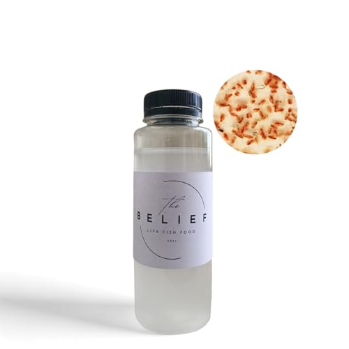 Image of Belief Moina Starter Culture Live Fish Food