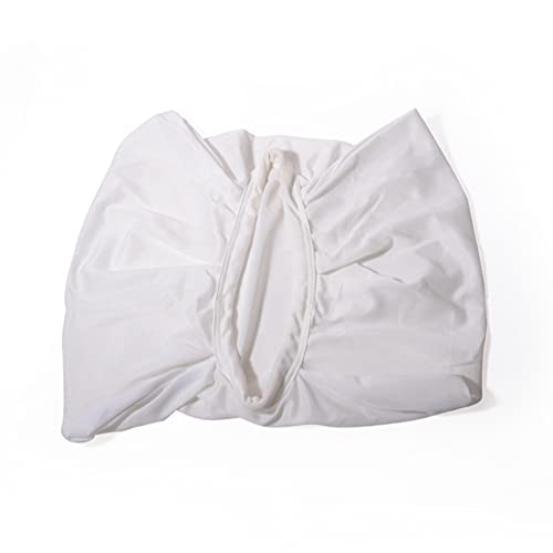 Dolphin 9995431-Assy - Bolsa Filtrante Para Robot Diagnosis 2001 Y Din+ Piscinas Públicas