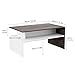 HOMFA Modern Console Table Coffee Table 2-tier, 35.4
