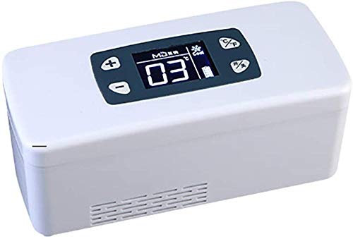 Mini Kühlschrank Kühlschrank und Insulinkühler für Autofahrten nach Hause - Tragbarer Autokühlkoffer/kleine Reisebox für Medikamente