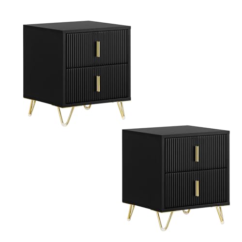 SoBuy Lot de 2 Table de Chevet - Table de Nuit avec 2 tiroirs, Table d'appoint pour Chambre à Coucher - Meuble de Rangement Moderne, Noir L40 x P40 x H47 cm FBT115-SCHx2