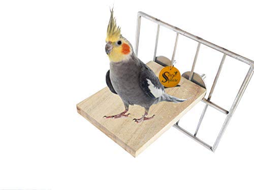 Sage Square Natural Wood Platform Cum Perch Cum Stand Bird Toy Ideal for Finch, Canary, Lovebird, Budgerigar, Budgeri (Light Weight) (3"x4") (B07V9HJ4TJ) Amazon Price History, Amazon Price Tracker