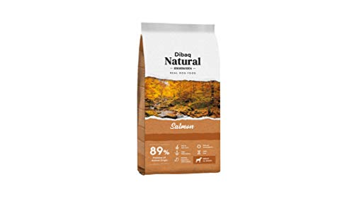 Dibaq