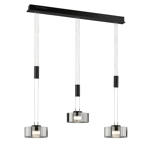 Fischer & Honsel Pendelleuchte, Lavin | sandschwarz/rauchfarben | L: 100 cm, B: 20 cm | Höhenverstellbar 100-160 cm | über Wanddimmer stufenlos dimmbar | 61096 | EEG: F Fischer & Honsel Pendelleuchte, Lavin | sandschwarz/rauchfarben | L: 100 cm, B: 20 cm | Höhenverstellbar 100-160 cm | über Wanddimmer stufenlos dimmbar | 61096 | EEG: F