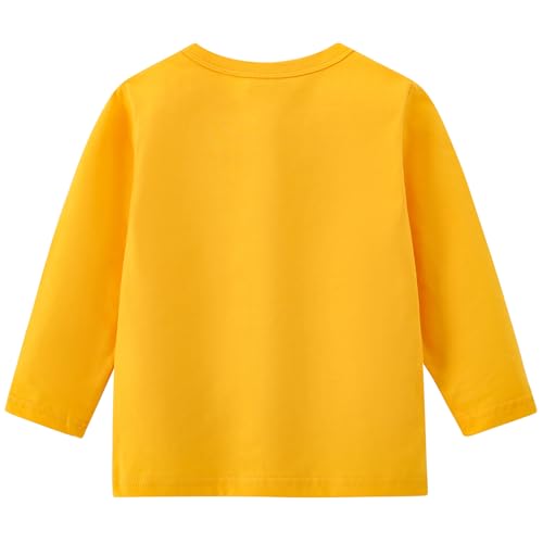 AIWUHE Toddler Long Sleeve T Shirts Cotton Soft Tshirts Boys Girls Basic Tee Undershirts Solid Color Crew Neck Tops 1-6Y2
