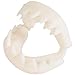 Rhode Island Novelty Great White Shark False Teeth Set