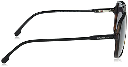 Carrera 229/S Rectangular Sunglasses, Brown/Polarized Gray, 59mm, 16mm3