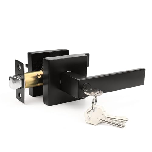 Gobrico 1 Pack Entry Door Levers Matte Black with Keys(Not Keyed Alike), Heavy Duty Hardware for Exterior Front and Back Door,Lockable, Keyed Entrance Lock,Universal Handling,Transitional Style