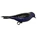 Heath Outdoor Products PMD-1 Deluxe Painted Purple Martin Decoy With Mount , black