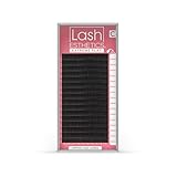 Lash Esthetics