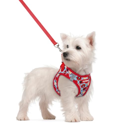 Image of rabbitgoo Dog Harness Small Sized and Leash Set, Step-in Puppy Pet Vest