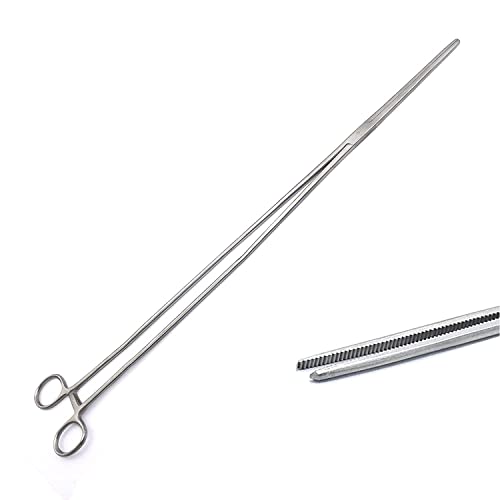 WellnessD'Light - 24