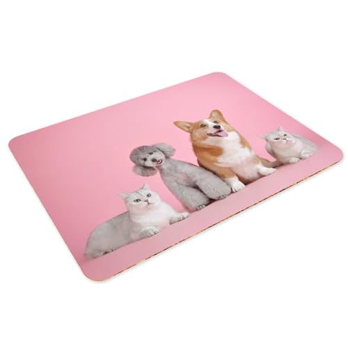 Set de table liège chat chien napperon souple grand format dessous table animaux - 3