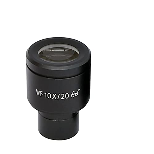 Lab Microscope Accessories Wf10X High Eye-Point Microscope Eyepiece Field Of View 20Mm Eyepiece Mounting 23.2Mm For Biological Microscope, With Or Without Reticle Scale (Size : 1 Pc With Scale) #TOP1