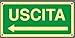 SEGNALETICA LUMINESCENTE UNI - Uscita con Freccia Destra o Sinistra - Adesivo Luminescente O Pannello Rigido Luminescente (PANNELLO RIGIDO 30X12 CM)