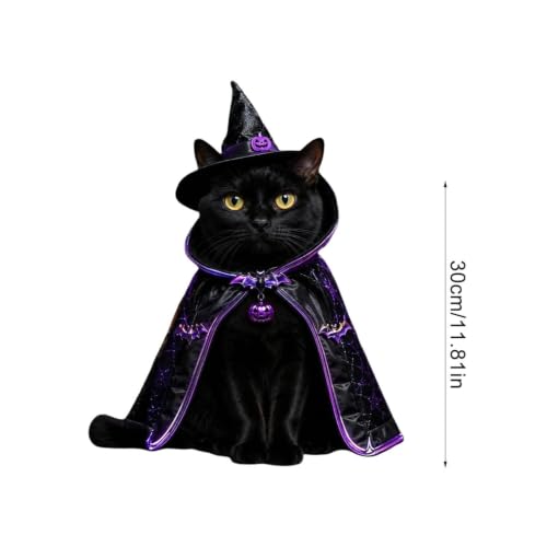 Trajes de disfraz de felinos que no estresan a tu mascota 6