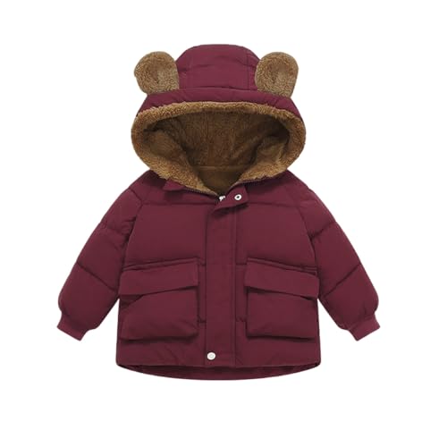 Kids Girls Fleece Lined Hooded Puffer Jacket Bear Ears Zipper Solid Color Padded Coat Toddler Boys Cute Puffy Clothes