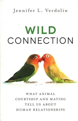 Wild Connection