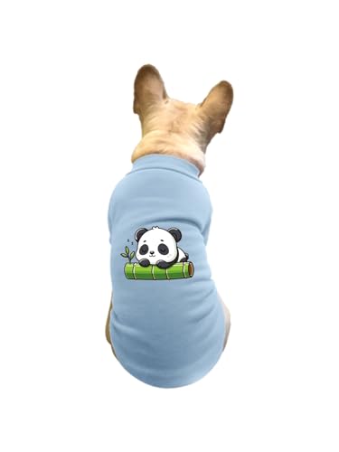 ���� ���� �p���_ �y�b�g�� T�V���c �H�~ �g���[�i�[ �L�� �h�� �g���� �J�W���A�� ������� ������ ���[���E�F�A ���� �E�ѕی� ���o���� �U�� L