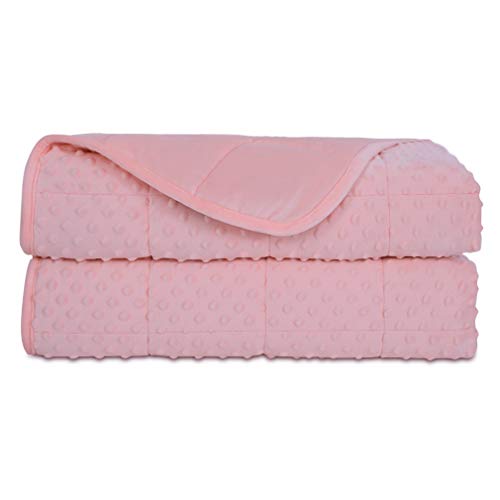 ACOMOPACK Minky Weighted Blanket Queen 15lbs for Adults(48×78,Pink Breathable Super Soft for All Season,Heavy Blanket with Premium Glass Beads