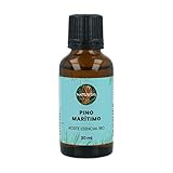 🌱 De los pinos marítimos que crecen en la zona del mediterráneo y Asia se obtiene una resina a la que llamamos trementina. El aceite esencial de Pino Marítimo se obtiene mediante la destilación de esta resina.