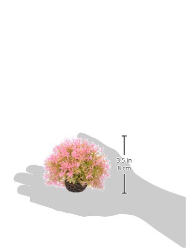 Image of BiOrb 46088.0 Flower Ball Pink Aquariums