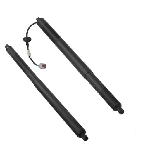 ԃp[tgQ[gT|[g GB5Z14B351A ɓK tH[h ɓK GNXv[[ 2016-2019 yA AgN tgQ[g p[nb` tgT|[g I[vi[ de[Q[g KXXgbg(Right and 