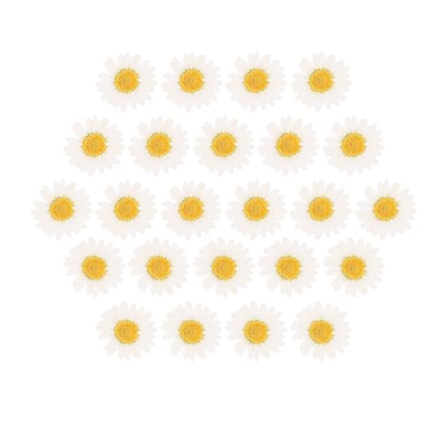 ABOOFAN 60 Piezas de Flores Secas Margaritas Blancas para Manualidades DIY Accesorios Prensados Naturales para Álbumes Joyería y Decoración Artesanal
