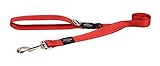 Reflective Dog Leash for Extra Large Dogs, 1
