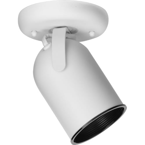 One-Light Multi Directional Roundback Wall/Ceiling Fixture