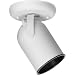Progress Lighting P6147-30 1-Light Round Back Ceiling Mount Directional, White
