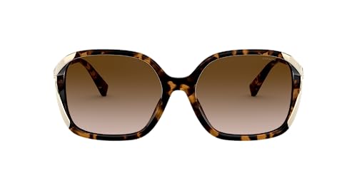 Coach Sunglasses Hc 8280 U 512013 Dark Tortoise #TOP24