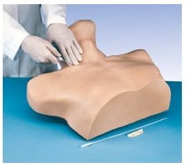 Anatomical Innovations 1093 Central Venous Cannulation Simulator