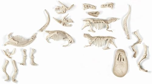 Science et jeu : Archéo ludic : T Rex et Tricératops phosphorescents Clementoni Jeux - vue 7
