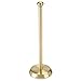 mDesign Metal Free-Standing Toilet Paper Holder with Brushed Stainless Steel Tube, Stand with Storage Roller Organizer for Bathroom Cabinet - Holds 3 Rolls Toilet Tissue - Hyde Collection - Soft Brass