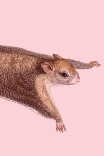 Flying Squirrel Vintage Wrap Around Graphic Lined Paper Notebook for Creative Writing, Journaling, or Logs: Incredible Value - 100 Lined Pages - 9" x ... for the Squirrel Enthusiast in Your Life!