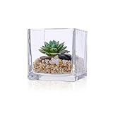 4' Clear Glass Cube Vase Handmade Square Home Decorative Bottle Flower Glass Vase Wedding Party Table Centerpieces (4'X4'X4')