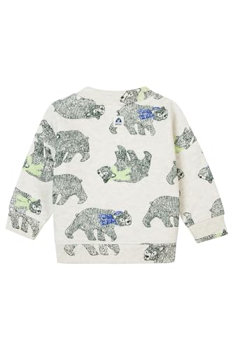 Noppies Baby - Jungen Boys Sweater Gouzon Long Allover Print, Oatmeal Melange - P611, 56 EU