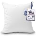 Foamily Premium Hypoallergenic Stuffer Pillow Insert Sham Square Form Polyester, 24" L X 24" W, Standard/White