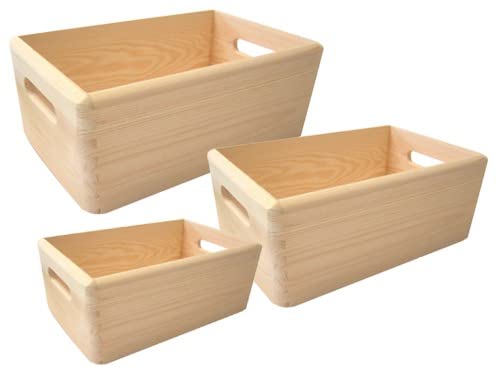 lombardiangelo Set 3 PZ Cassette PORTATUTTO ALBERIAMO